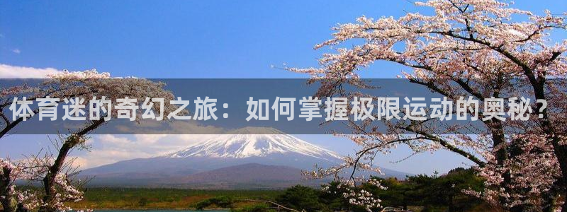 球客岛