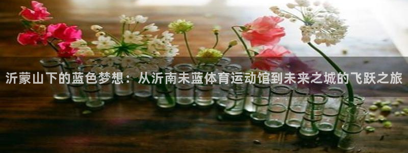 球客岛