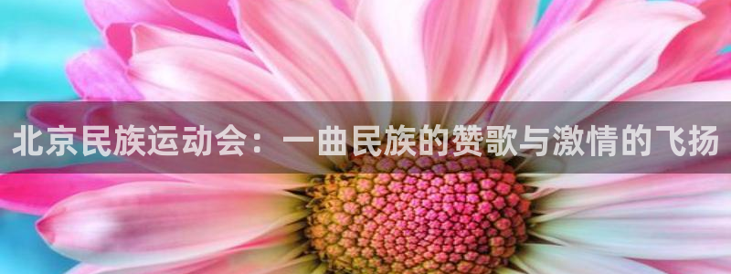 球客岛：北京民族运动会：一曲民族的赞歌与激情的飞扬