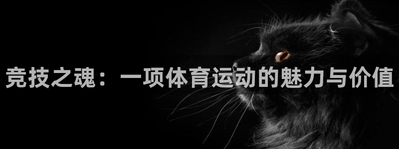 球客岛：竞技之魂：一项体育运动的魅力与价值