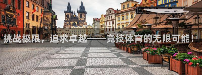 球客岛：挑战极限，追求卓越——竞技体育的无限可能！