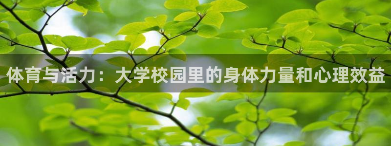 球客岛：体育与活力：大学校园里的身体力量和心理效益