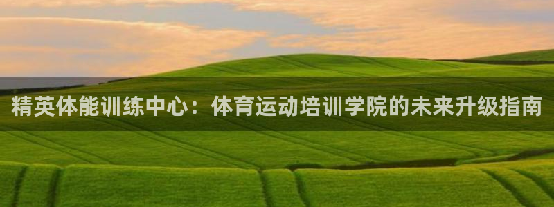 球客岛：精英体能训练中心：体育运动培训学院的未来升级指南