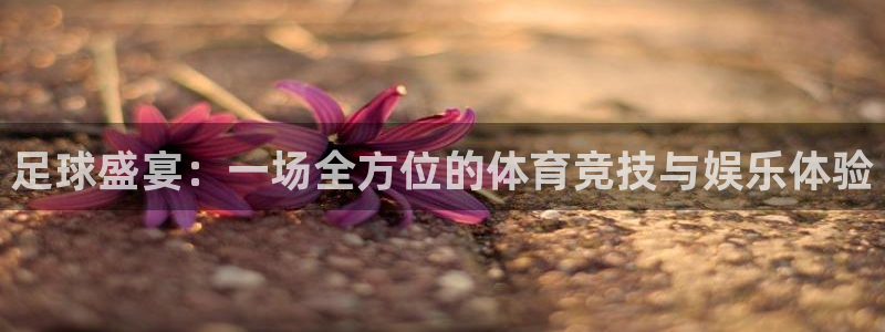 球客岛：足球盛宴：一场全方位的体育竞技与娱乐体验